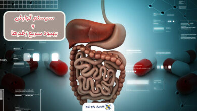 سیستم گوارش و بهبود زخم ها