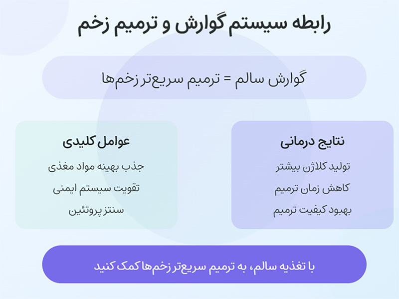 سیستم گوارش و ترمیم زخم