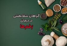 گیاهان دارویی