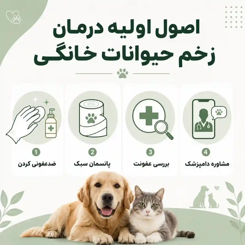 درمان زخم حیوانات خانگی
