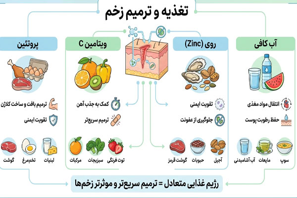 تغذیه و ترمیم زخم